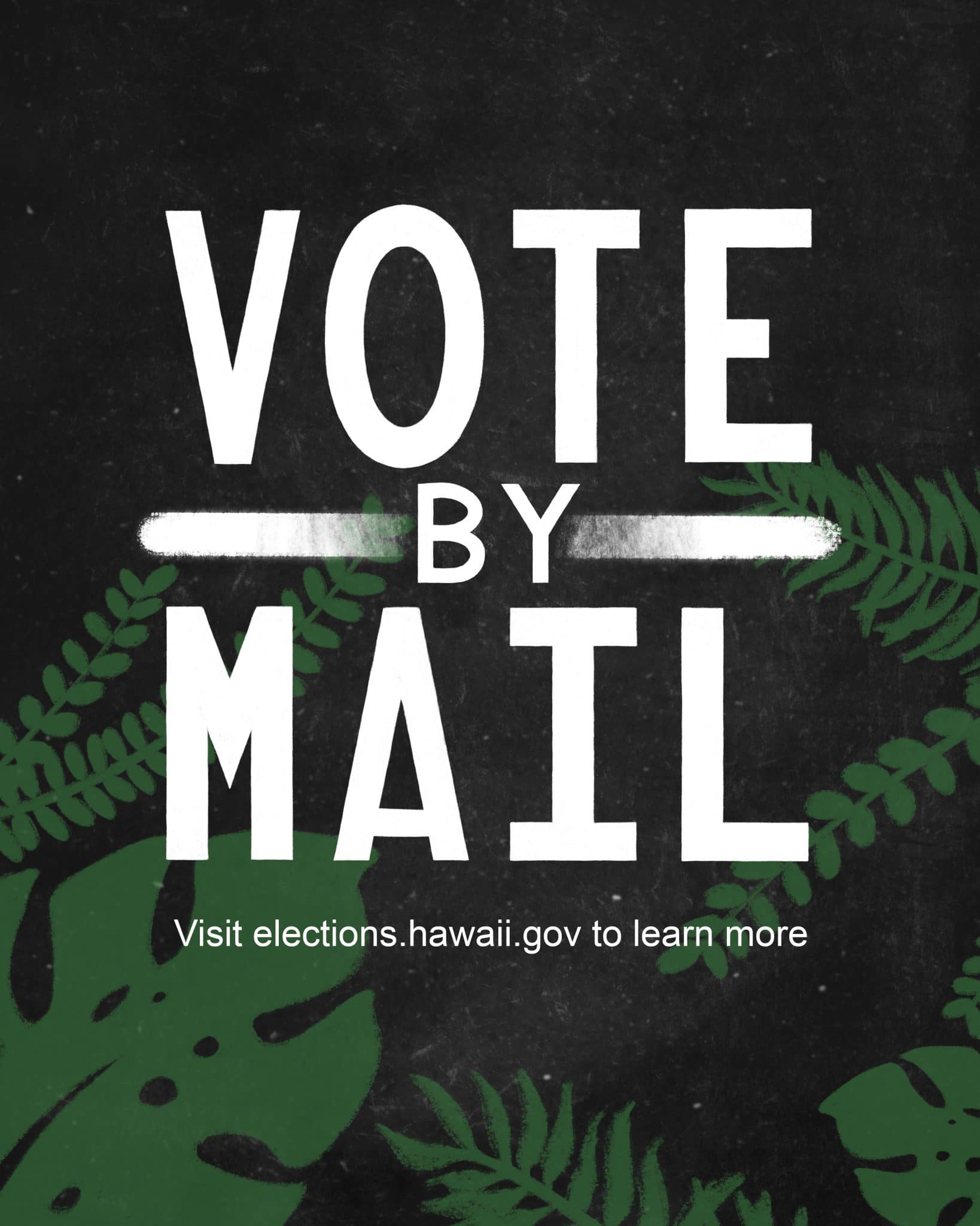 Office Of Elections Hawaii Votes By Mail Resources 0751